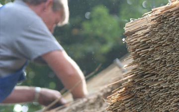 professional Stody thatchers