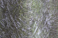 Stody fibreglass roof work